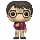 FUNKO POP! - Harry Potter - Wizarding World Harry Potter with The Stone #132